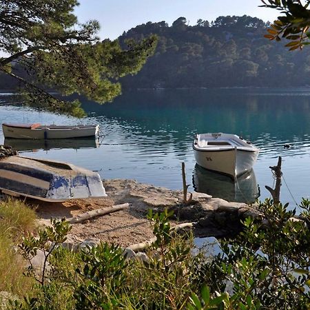 Ferienwohnung Authentic Ap For 2, Babino Polje,Mljet Exterior foto