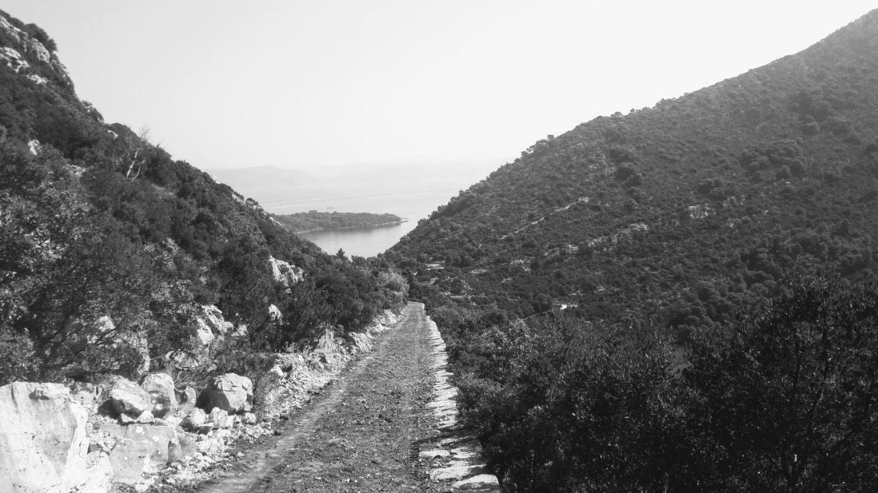 Ferienwohnung Authentic Ap For 2, Babino Polje,Mljet Exterior foto