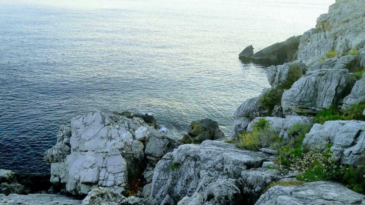 Ferienwohnung Authentic Ap For 2, Babino Polje,Mljet Exterior foto
