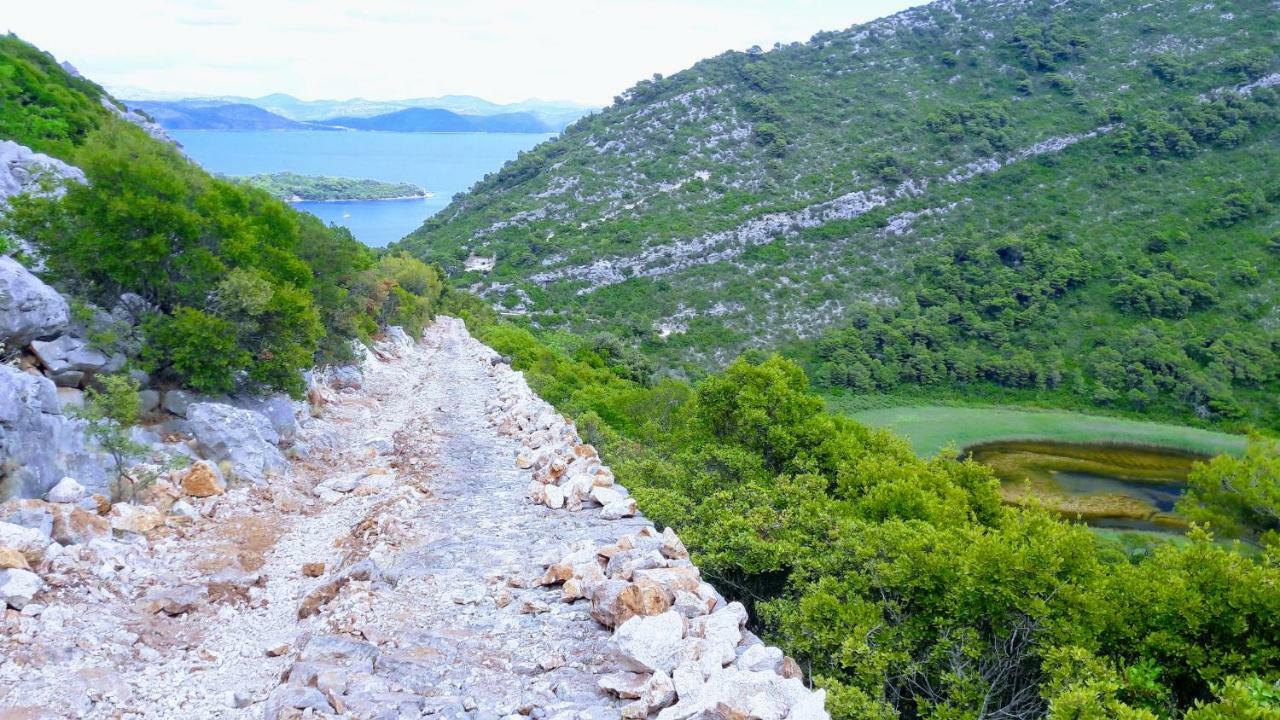 Ferienwohnung Authentic Ap For 2, Babino Polje,Mljet Exterior foto